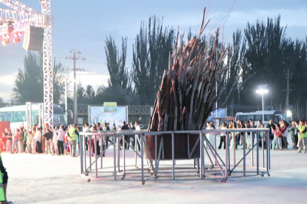 image3.jpg